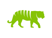 Tiger Safari