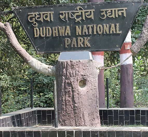 DURGA DEVI GATE